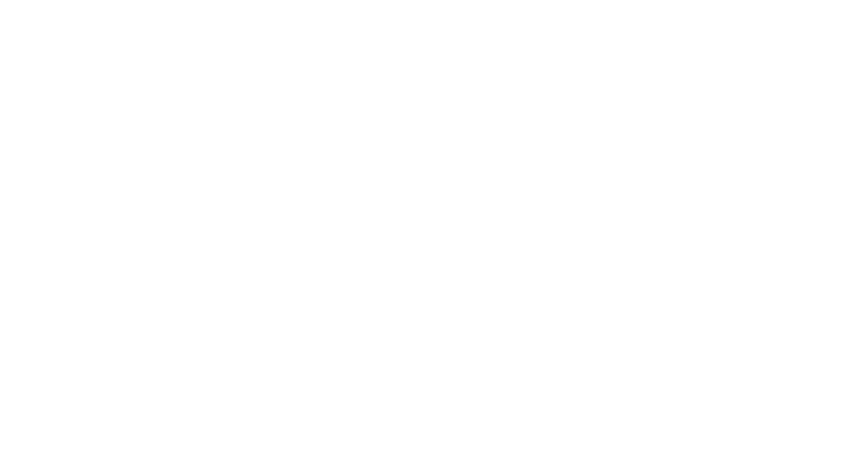 We are the show